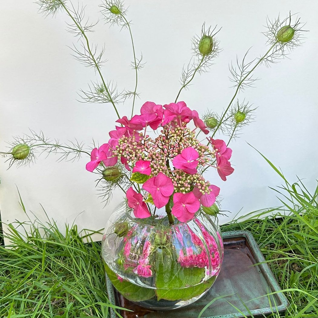 Les Amis des Plantes 1